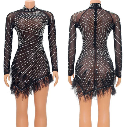 Feather Mesh Long Sleeve Bodycon Dress
