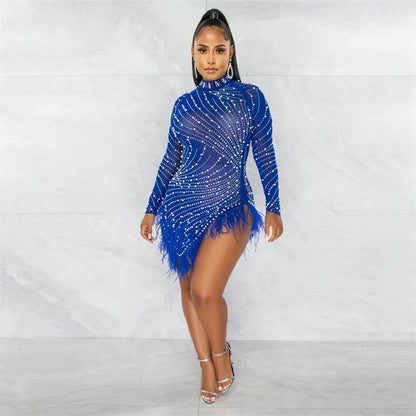 Feather Mesh Long Sleeve Bodycon Dress
