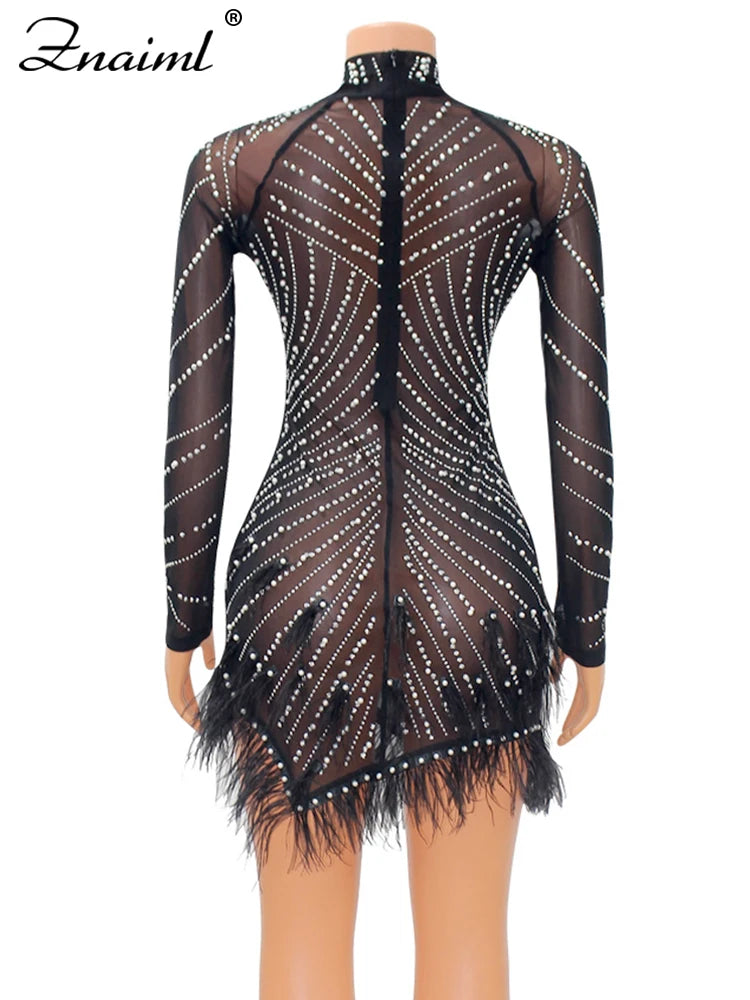 Feather & Rhinestone Mesh Party Dress