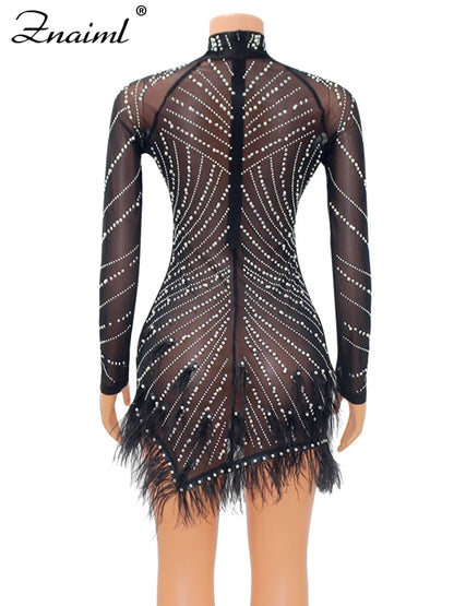 Feather & Rhinestone Mesh Party Dress