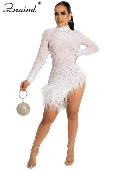 Feather & Rhinestone Mesh Party Dress