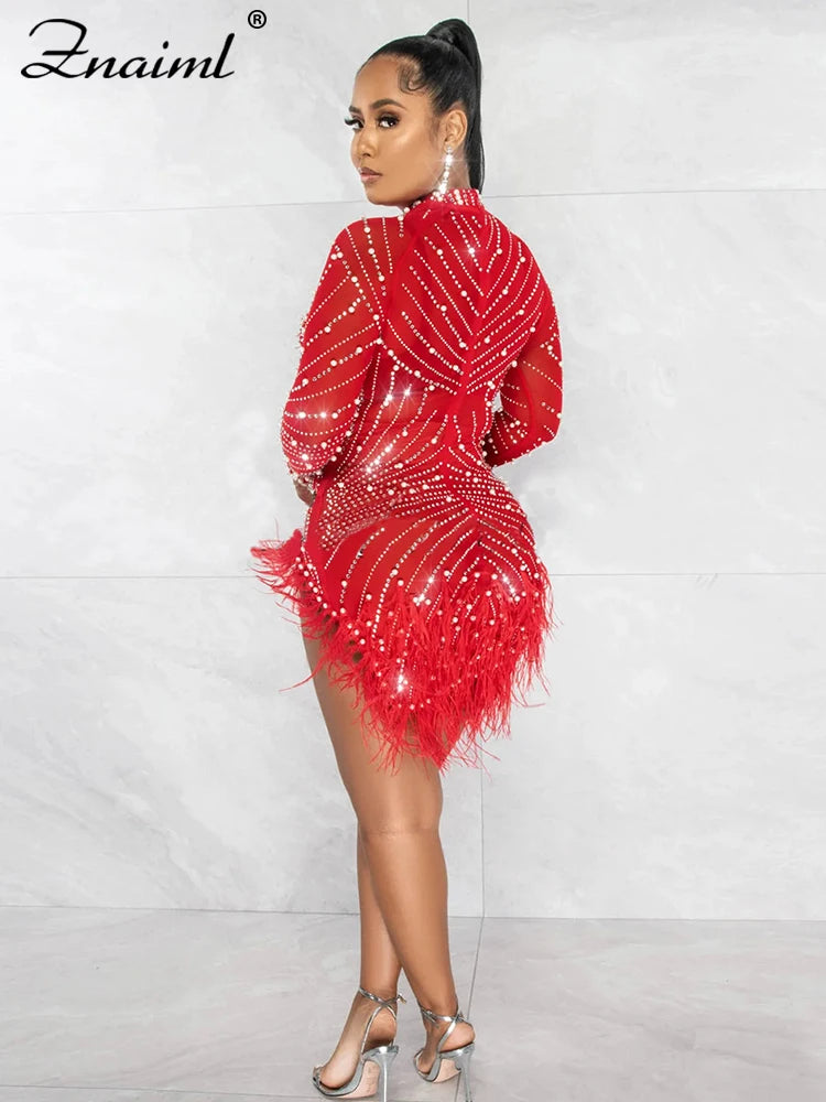 Feather & Rhinestone Mesh Party Dress