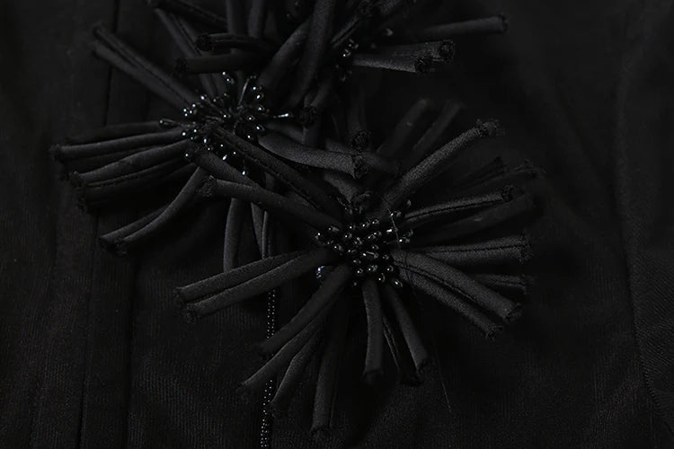 Weird Puss Tassel Applique Crop Tops