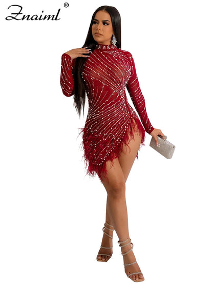 Feather & Rhinestone Mesh Party Dress