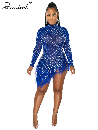 Feather & Rhinestone Mesh Party Dress