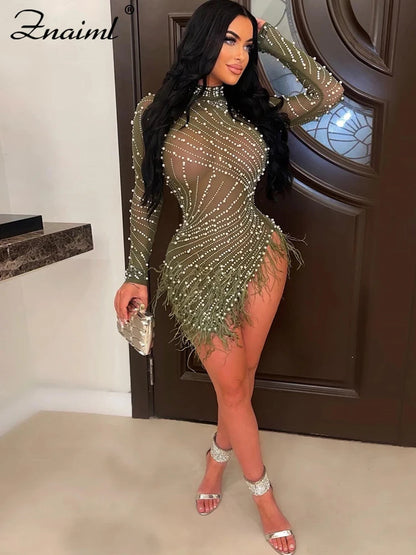 Feather & Rhinestone Mesh Party Dress