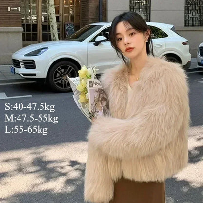 Faux Fur Coat Clothing Y2K New