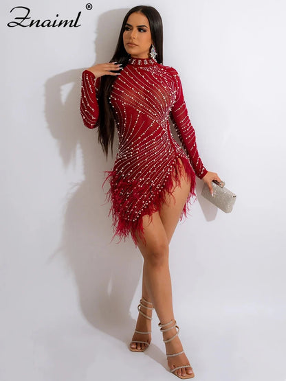 Feather & Rhinestone Mesh Party Dress