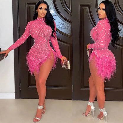 Feather Mesh Long Sleeve Bodycon Dress