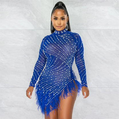 Feather Mesh Long Sleeve Bodycon Dress