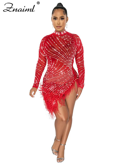 Feather & Rhinestone Mesh Party Dress