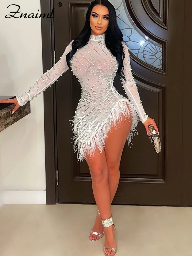 Feather & Rhinestone Mesh Party Dress