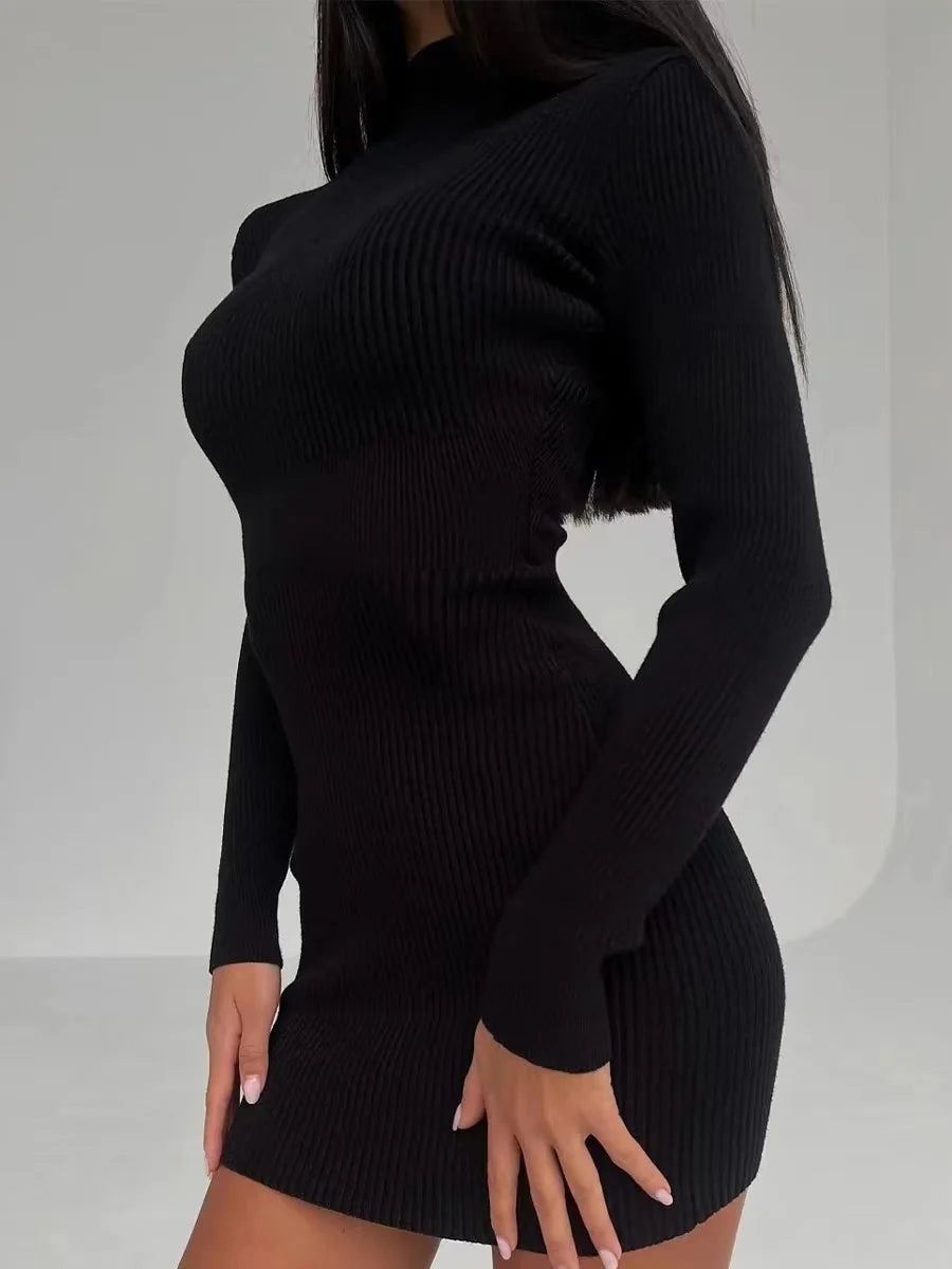 Knitted Turtleneck Bodycon Midi Dress