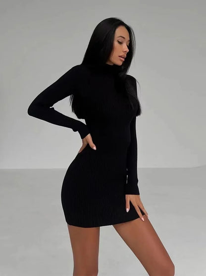 Knitted Turtleneck Bodycon Midi Dress