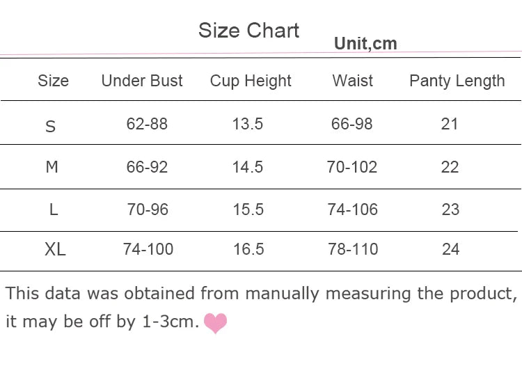 Mesh Embroidery Bra and Panty Set