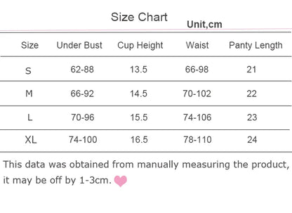 Mesh Embroidery Bra and Panty Set