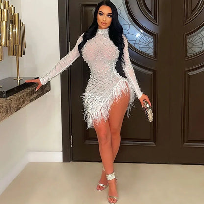 Feather Mesh Long Sleeve Bodycon Dress