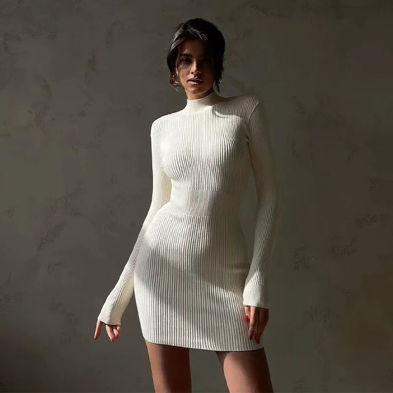 Knitted Turtleneck Bodycon Midi Dress