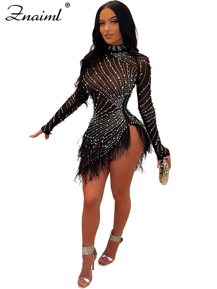 Feather & Rhinestone Mesh Party Dress