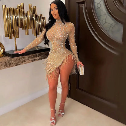 Feather Mesh Long Sleeve Bodycon Dress