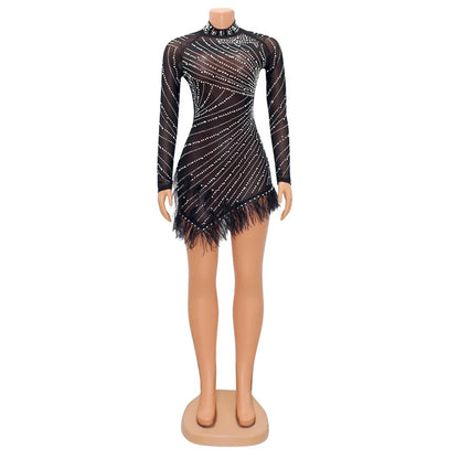 Feather Mesh Long Sleeve Bodycon Dress