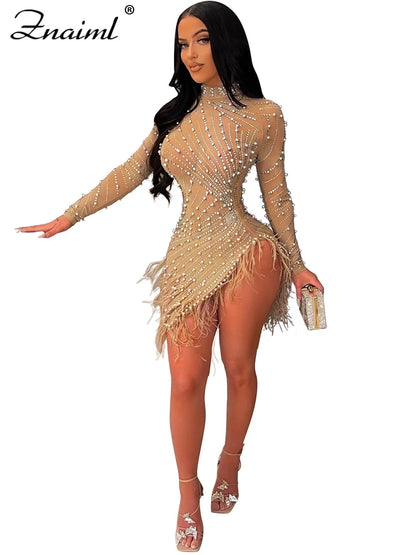 Feather & Rhinestone Mesh Party Dress