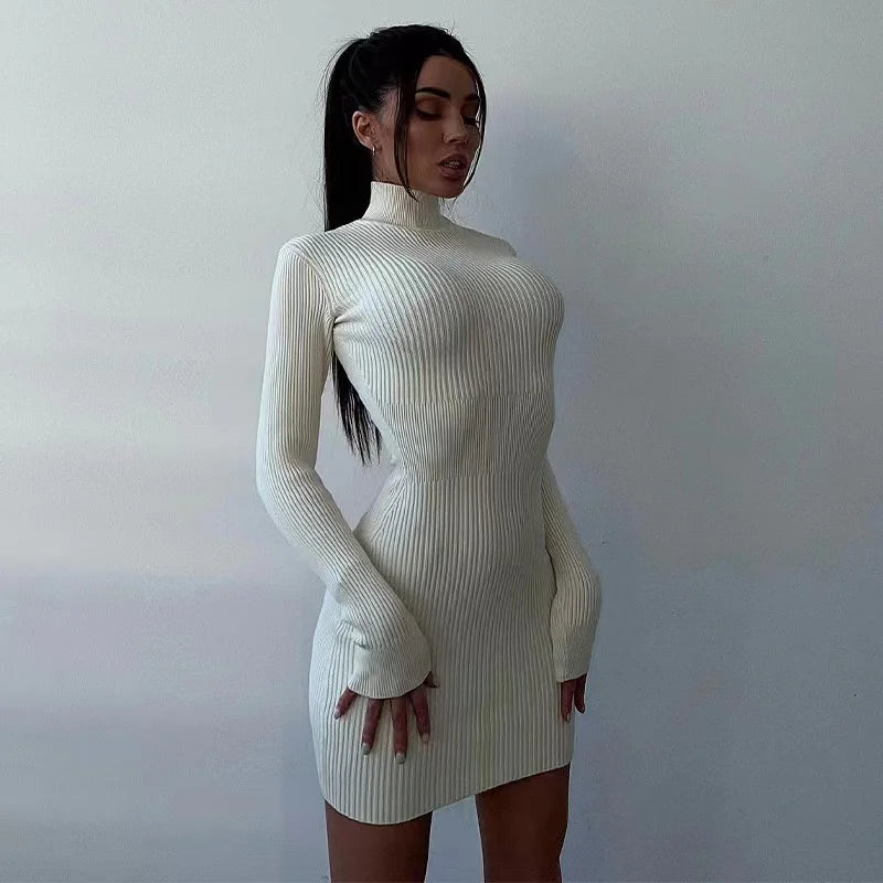 Knitted Turtleneck Bodycon Midi Dress