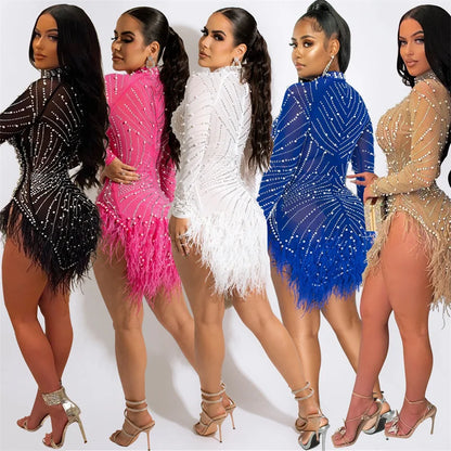 Feather Mesh Long Sleeve Bodycon Dress