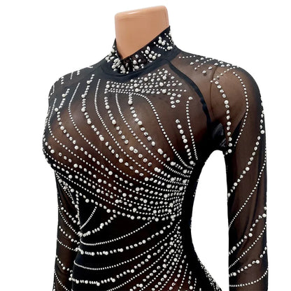 Feather Mesh Long Sleeve Bodycon Dress