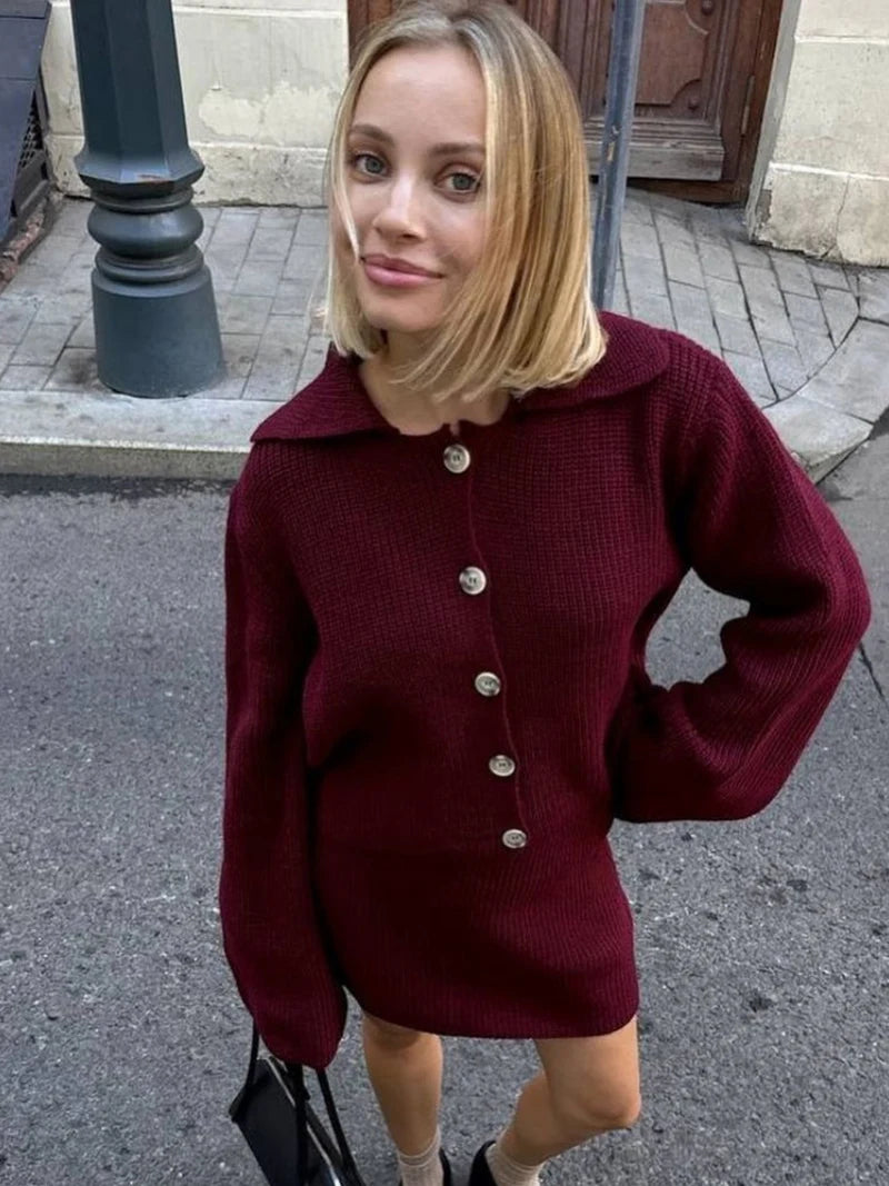 DGLUKE Burgundy Knitted Cardigan And Skirt Sets Women 2 Piece Outfit Fall Winter Sweater Matching Set Fashion Festival Outfits
