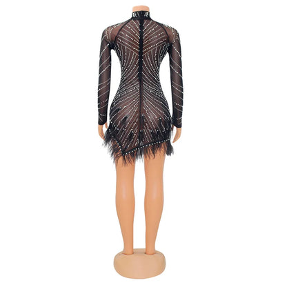 Feather Mesh Long Sleeve Bodycon Dress