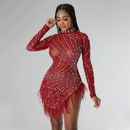 Feather Mesh Long Sleeve Bodycon Dress