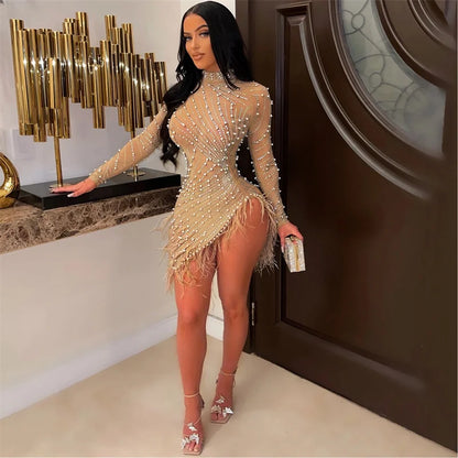 Feather Mesh Long Sleeve Bodycon Dress