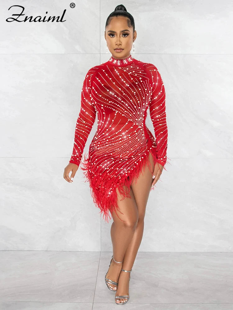 Feather & Rhinestone Mesh Party Dress