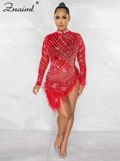 Feather & Rhinestone Mesh Party Dress